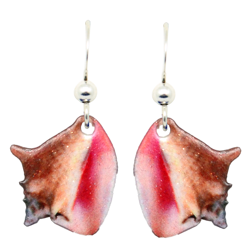 Amazon.com: Conch Shell Earrings for Women Gold Silver Sea Shell Stud  Earrings Cute Metal Sea Witch Shell Earrings Jewelry for Villain Fans  (Gold2): Clothing, Shoes & Jewelry